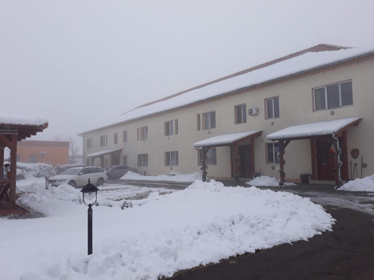 Vila Zoppas Inn Sinnicolau Mare Экстерьер фото