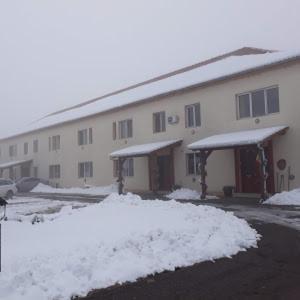 Vila Zoppas Inn Sinnicolau Mare Экстерьер фото